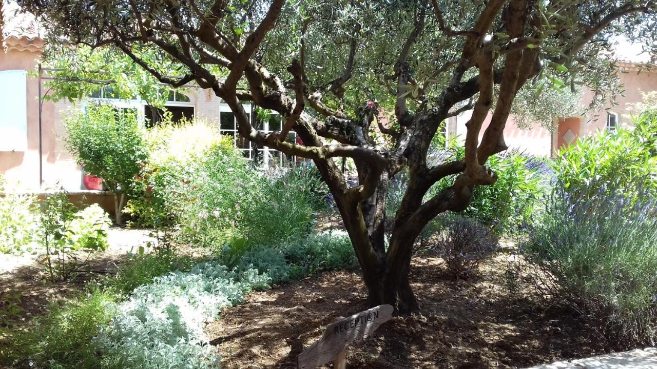 Les Jardins De L'Ermitage Bed & Breakfast Les Salles-sur-Verdon Exterior photo